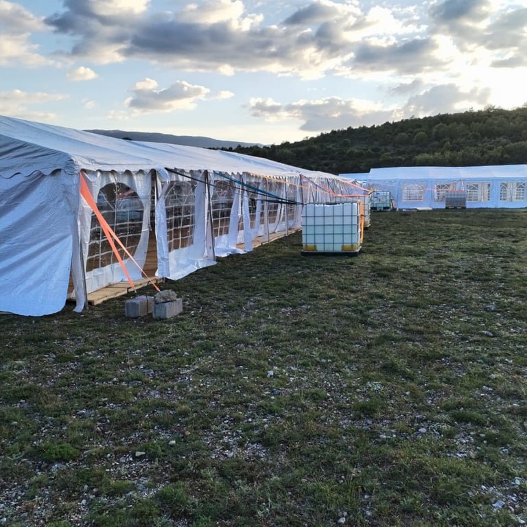 1006 ALpJ22Mwr4uVpWBw